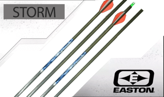 Easton Storm Arrows